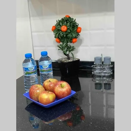 1+1 New Cozy In The Center Of Alanya.