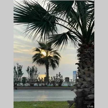 1+1 New Cozy In The Center Of Alanya. Alanya