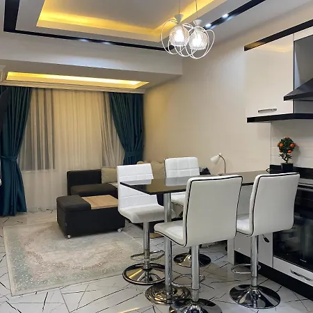1+1 New Cozy In The Center Of Alanya.